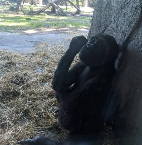 Meet your Posher, Heather - Picture 1 of 1